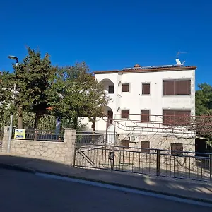Tisa Apartment